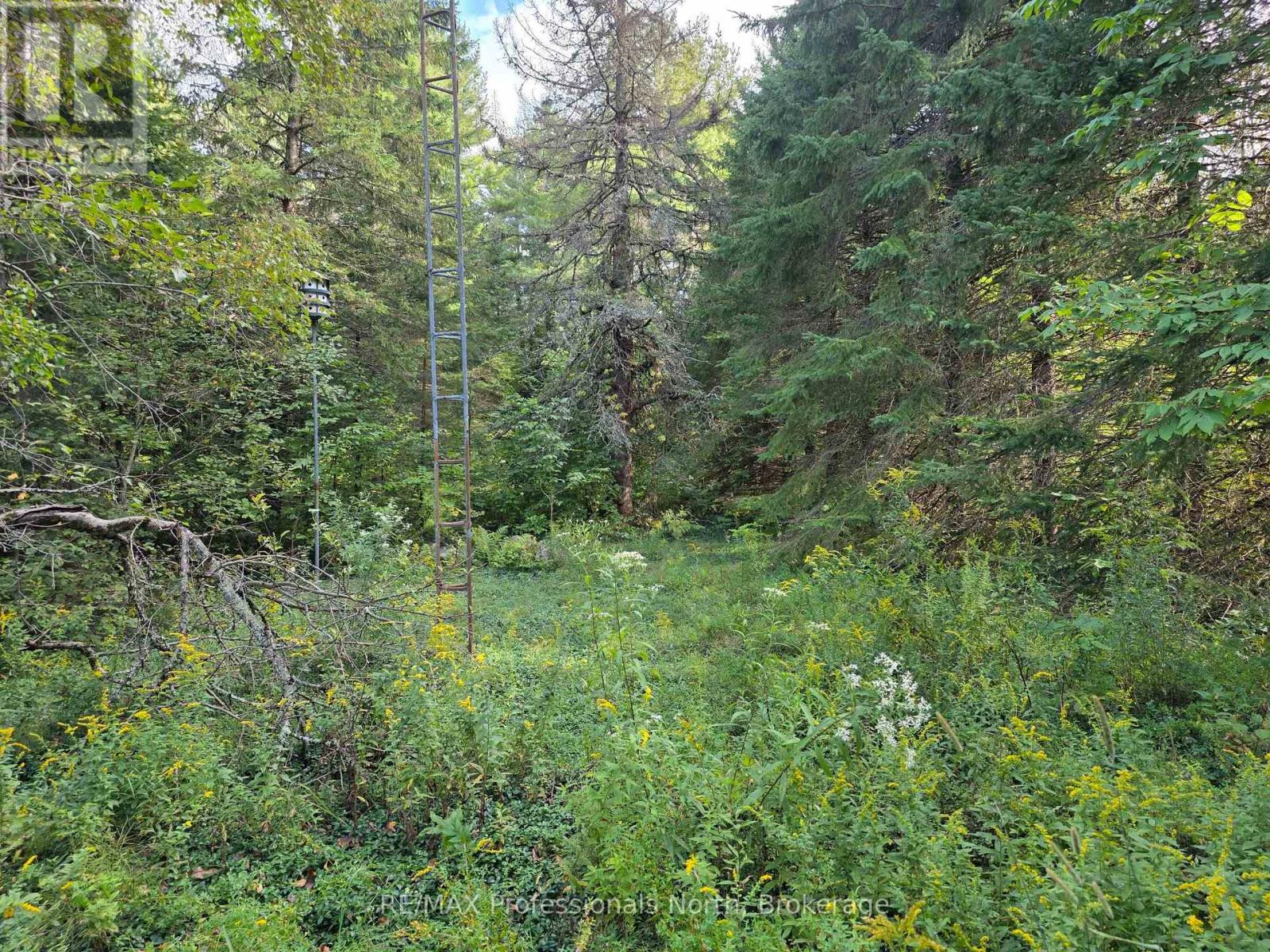 671 Lynx Lake Road, Huntsville, Ontario  P1H 2J3 - Photo 11 - X12387213