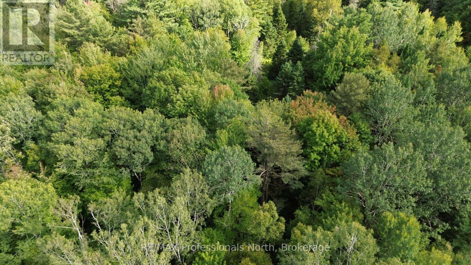 671 Lynx Lake Road, Huntsville, Ontario  P1H 2J3 - Photo 22 - X12387213