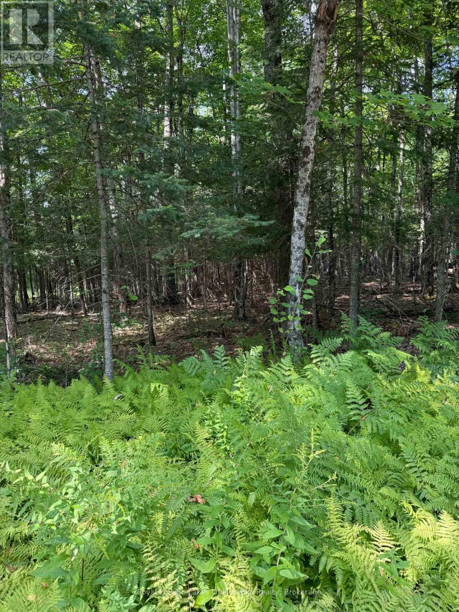 LT 26 FRANK ST STREET, Magnetawan, Ontario