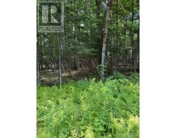LT 26 FRANK ST STREET, Magnetawan, Ontario