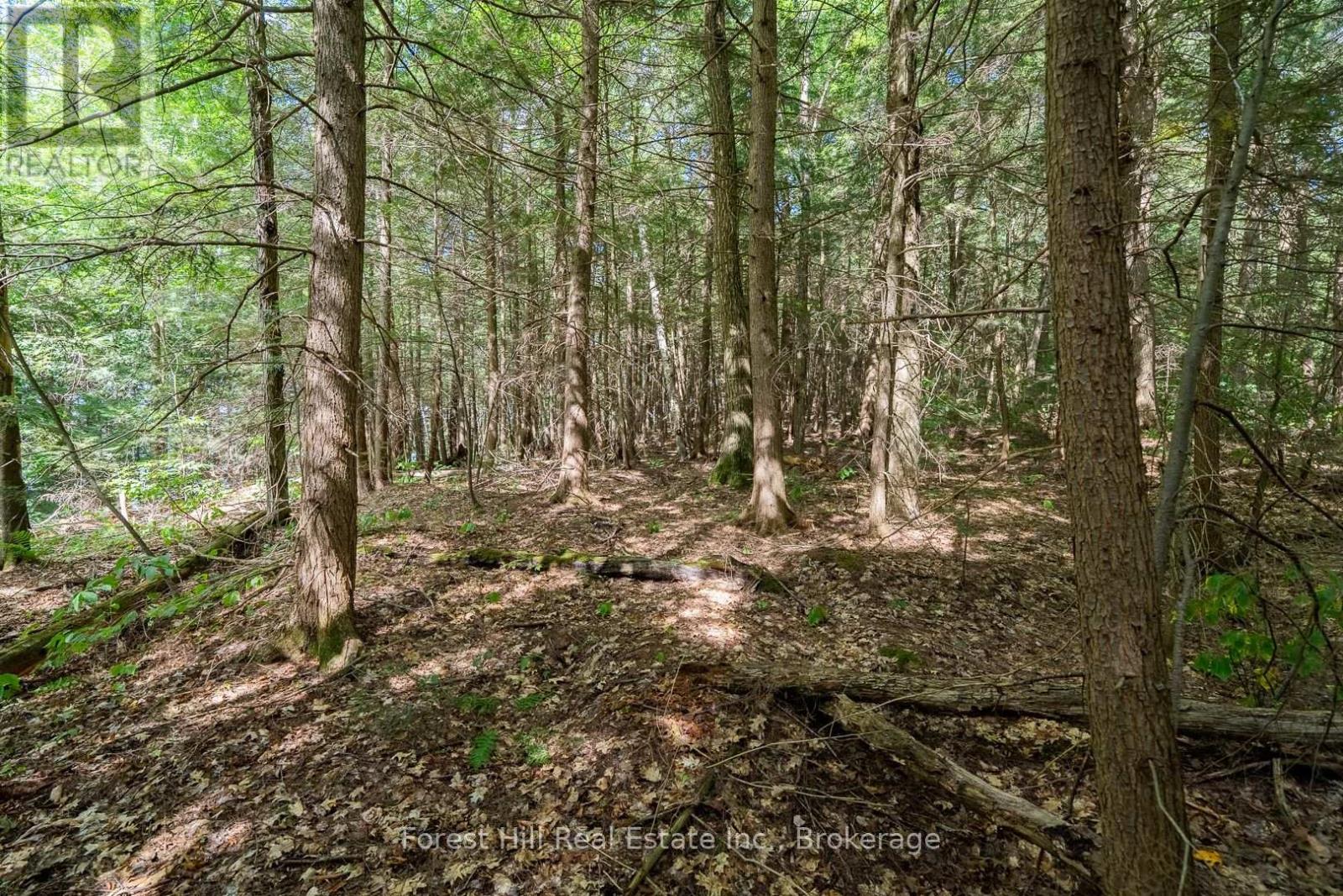 18863 North Creek Drive, Algonquin Highlands, Ontario  P0A 1E0 - Photo 16 - X12391717