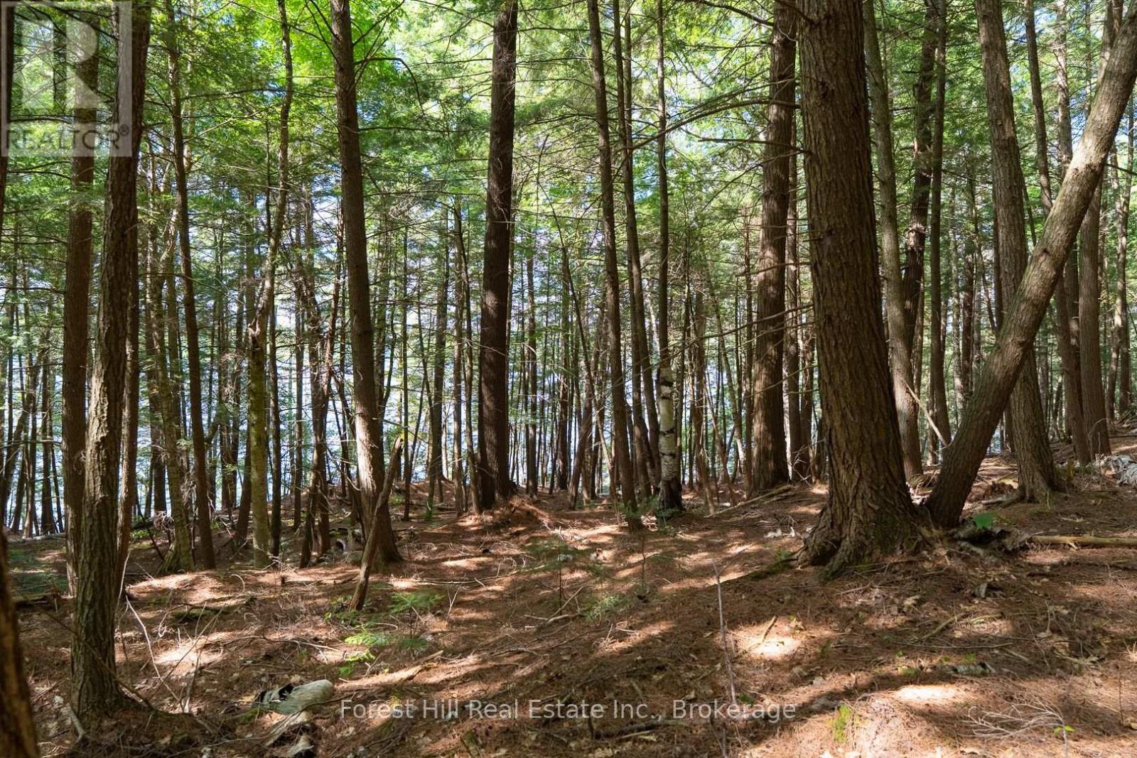 18863 North Creek Drive, Algonquin Highlands, Ontario  P0A 1E0 - Photo 18 - X12391717