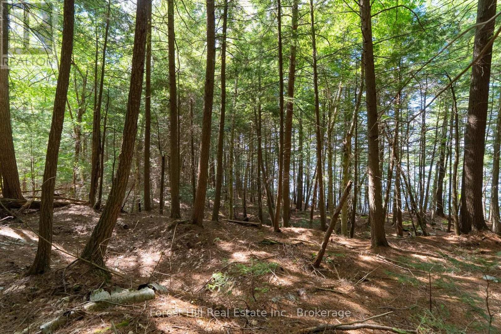 18863 North Creek Drive, Algonquin Highlands, Ontario  P0A 1E0 - Photo 19 - X12391717
