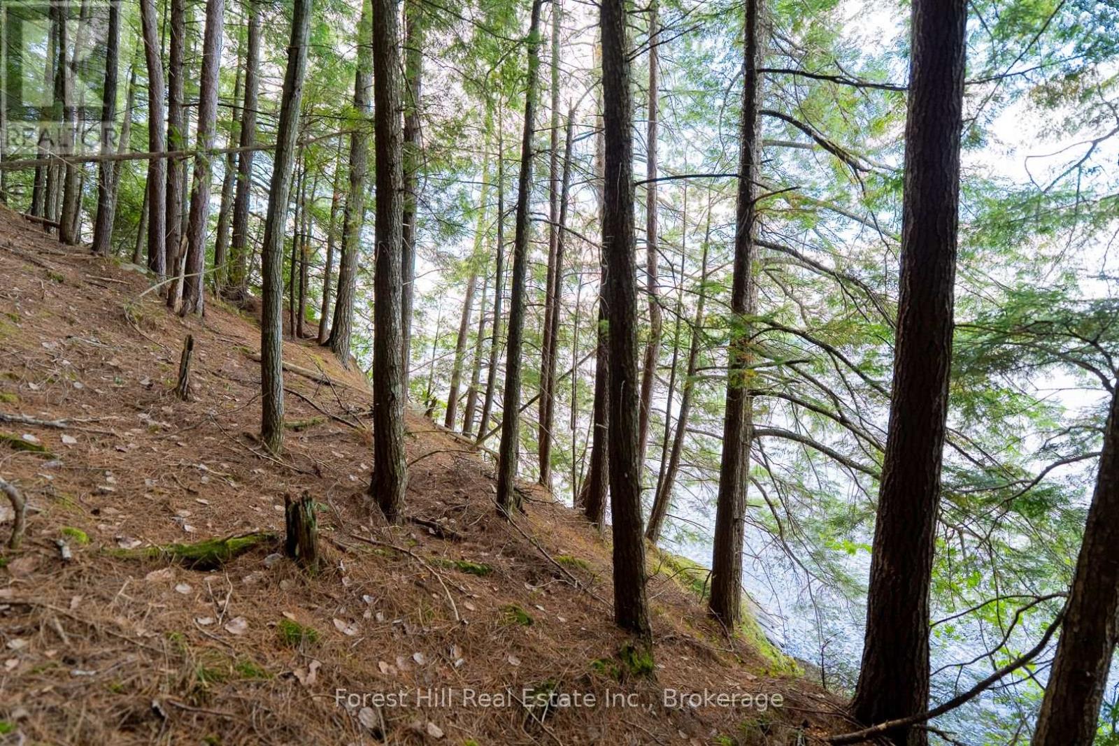 18863 North Creek Drive, Algonquin Highlands, Ontario  P0A 1E0 - Photo 24 - X12391717
