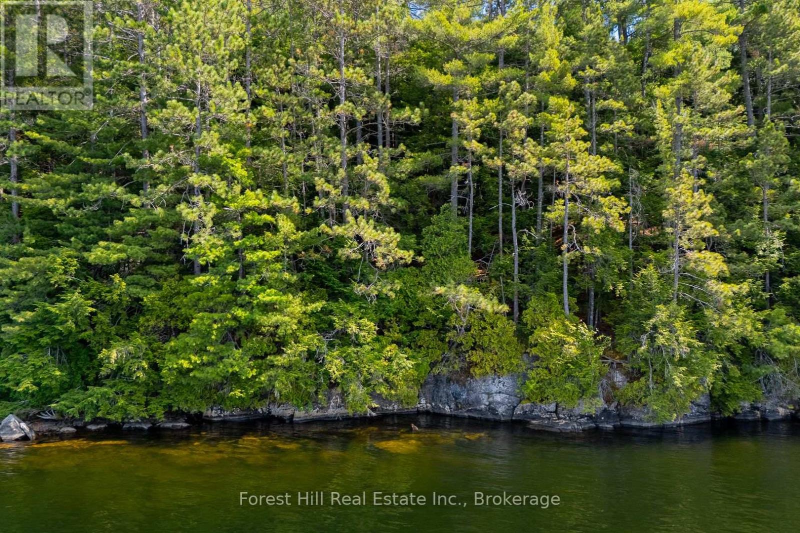 18863 North Creek Drive, Algonquin Highlands, Ontario  P0A 1E0 - Photo 28 - X12391717