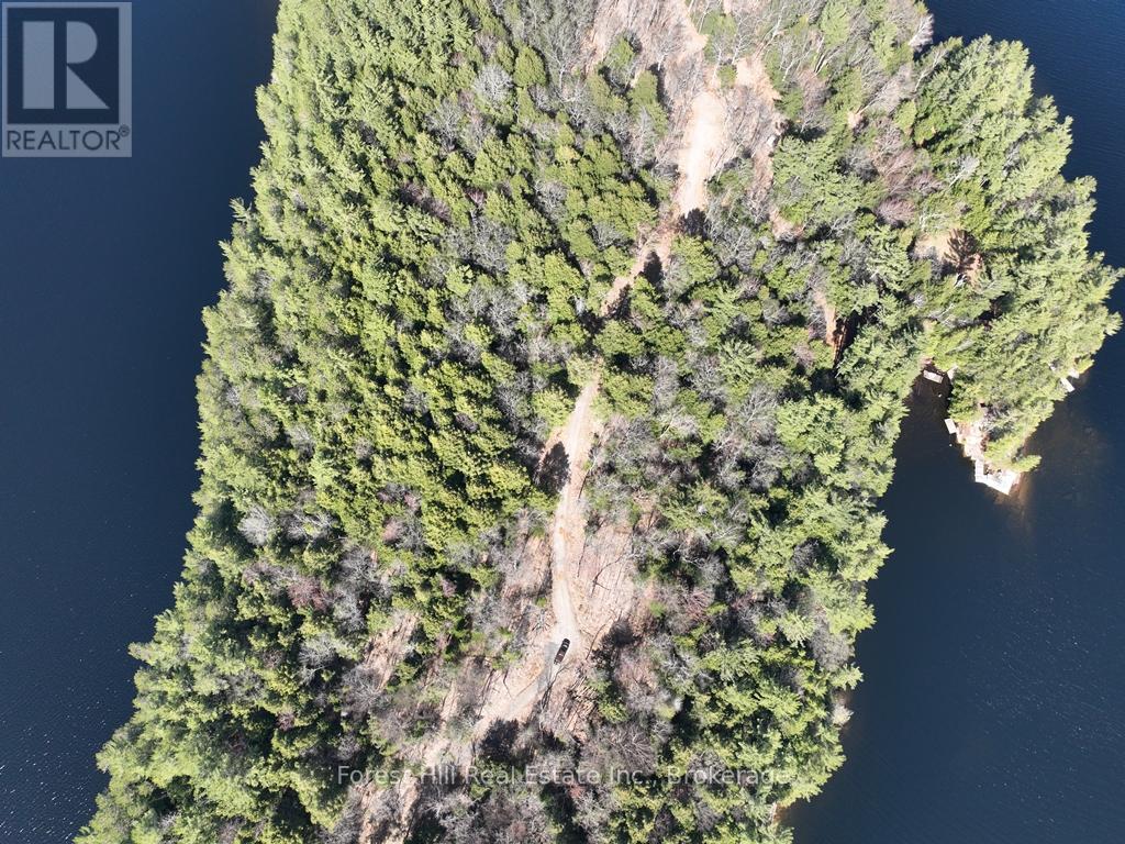 18863 North Creek Drive, Algonquin Highlands, Ontario  P0A 1E0 - Photo 31 - X12391717