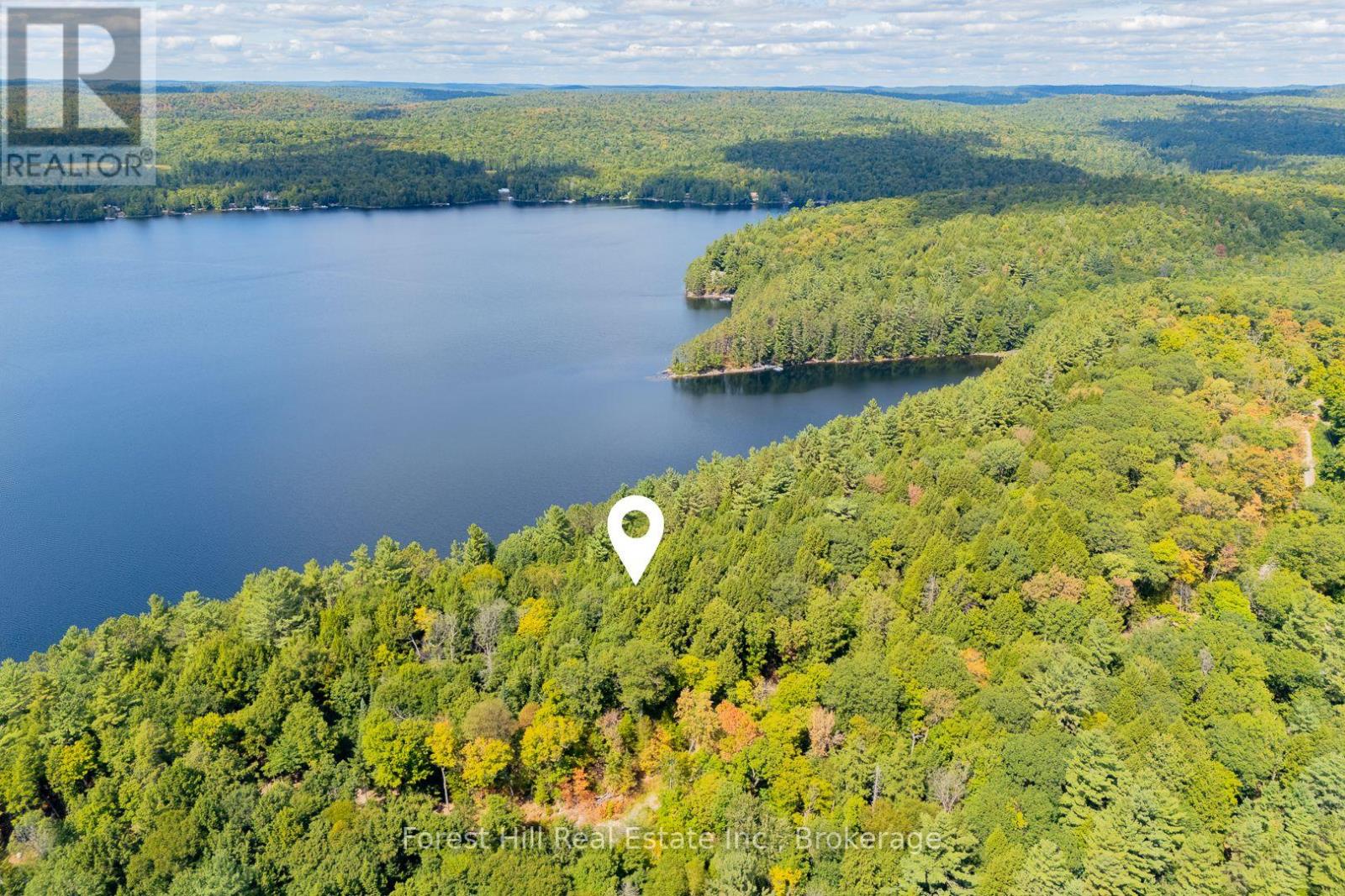 18863 North Creek Drive, Algonquin Highlands, Ontario  P0A 1E0 - Photo 4 - X12391717