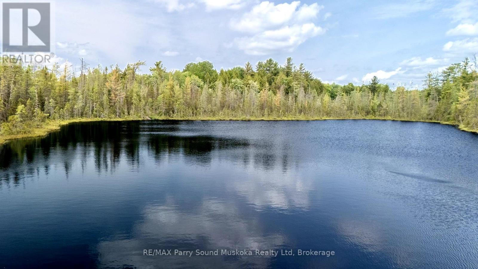 372 Mcdougall Road, Mcdougall, Ontario  P2A 0B3 - Photo 23 - X12392874