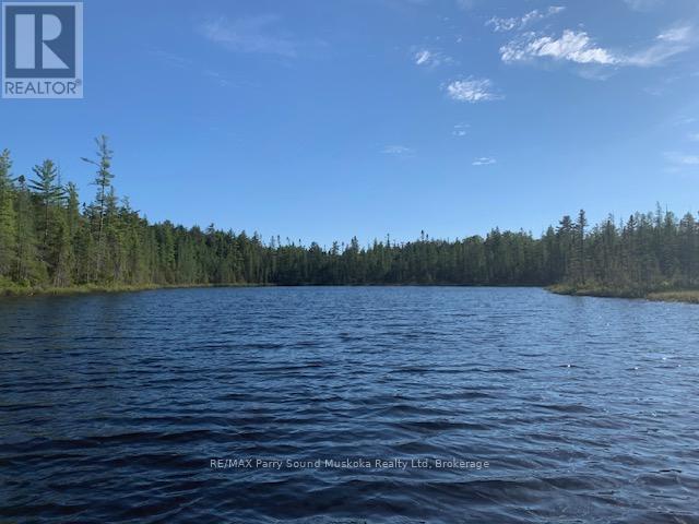 372 Mcdougall Road, Mcdougall, Ontario  P2A 0B3 - Photo 25 - X12392874