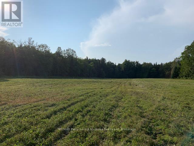 372 Mcdougall Road, Mcdougall, Ontario  P2A 0B3 - Photo 26 - X12392874