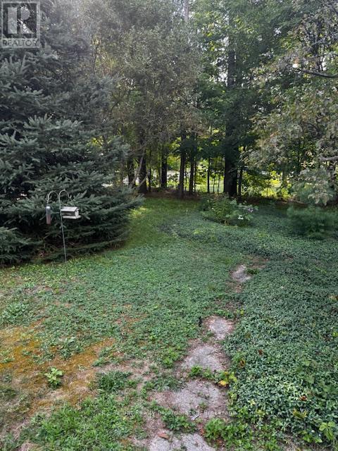 213 Chestnut Drive Drive S, Central Huron, Ontario  N0M 1G0 - Photo 21 - X12397405