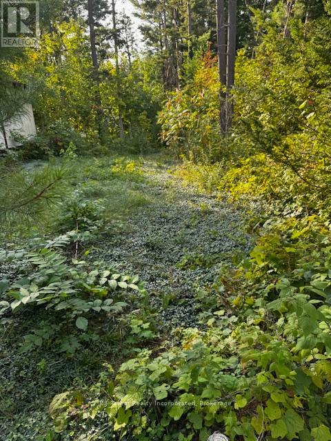 213 Chestnut Drive Drive S, Central Huron, Ontario  N0M 1G0 - Photo 22 - X12397405