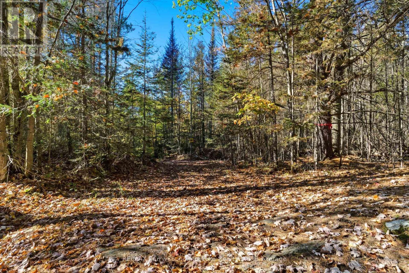 308 Nipissing Road N, Magnetawan, Ontario  P0A 1P0 - Photo 35 - X12399475