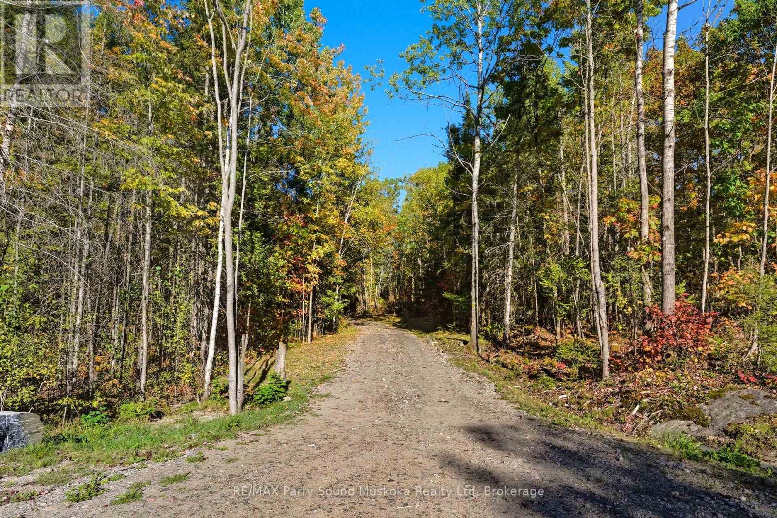 308 Nipissing Road N, Magnetawan, Ontario  P0A 1P0 - Photo 40 - X12399475