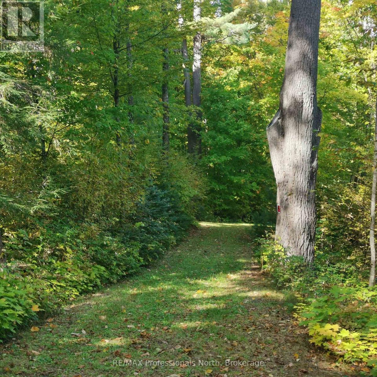 416 Swallowdale Road, Huntsville, Ontario  P1H 0A5 - Photo 11 - X12399919