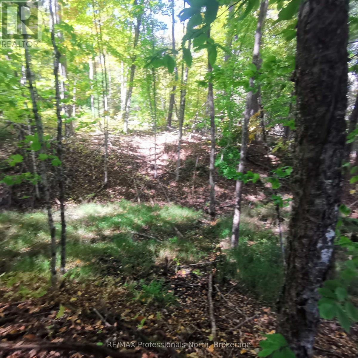 416 Swallowdale Road, Huntsville, Ontario  P1H 0A5 - Photo 12 - X12399919