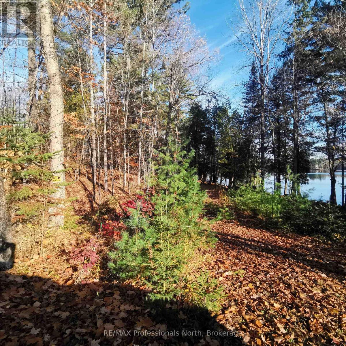 416 Swallowdale Road, Huntsville, Ontario  P1H 0A5 - Photo 13 - X12399919