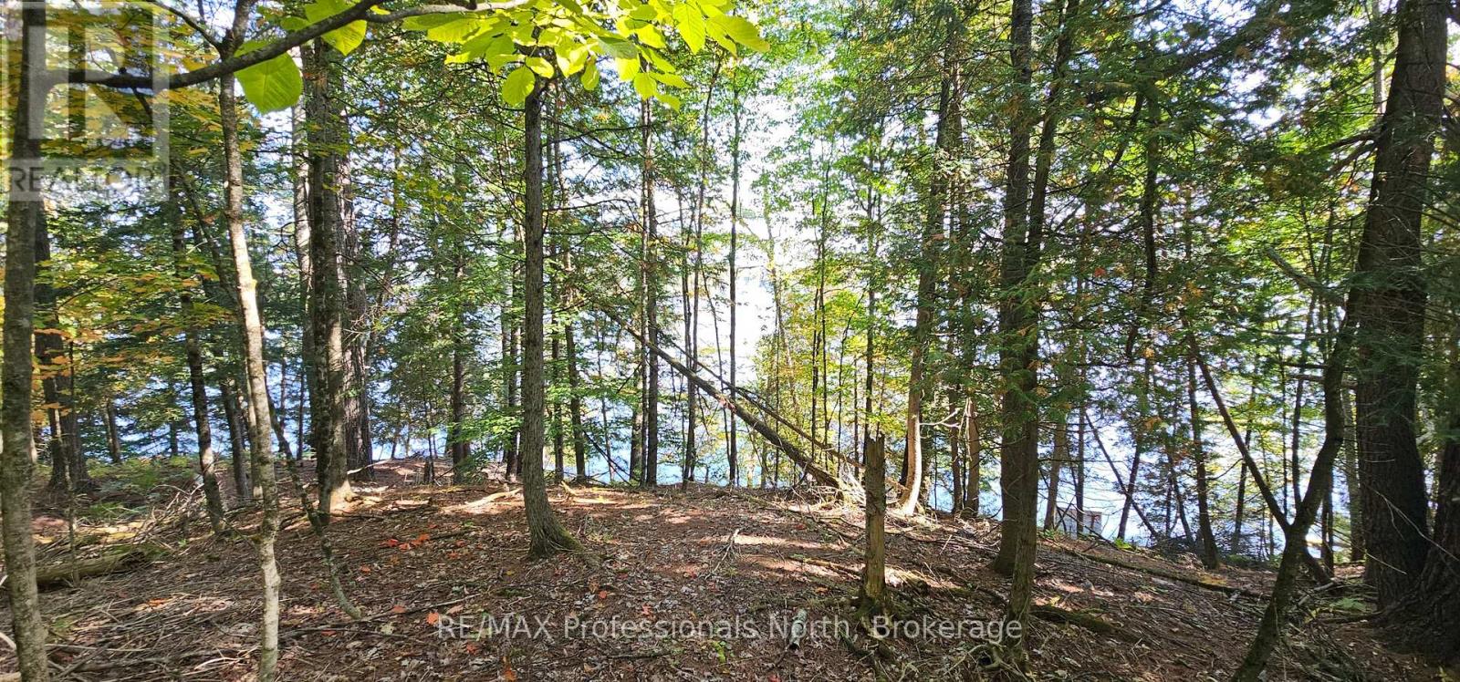 416 Swallowdale Road, Huntsville, Ontario  P1H 0A5 - Photo 19 - X12399919