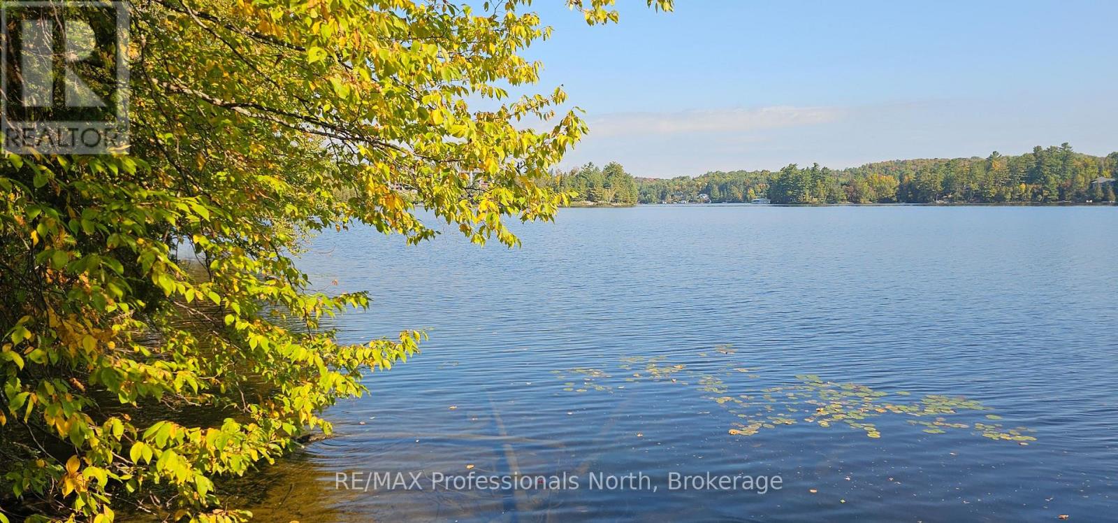 416 Swallowdale Road, Huntsville, Ontario  P1H 0A5 - Photo 4 - X12399919