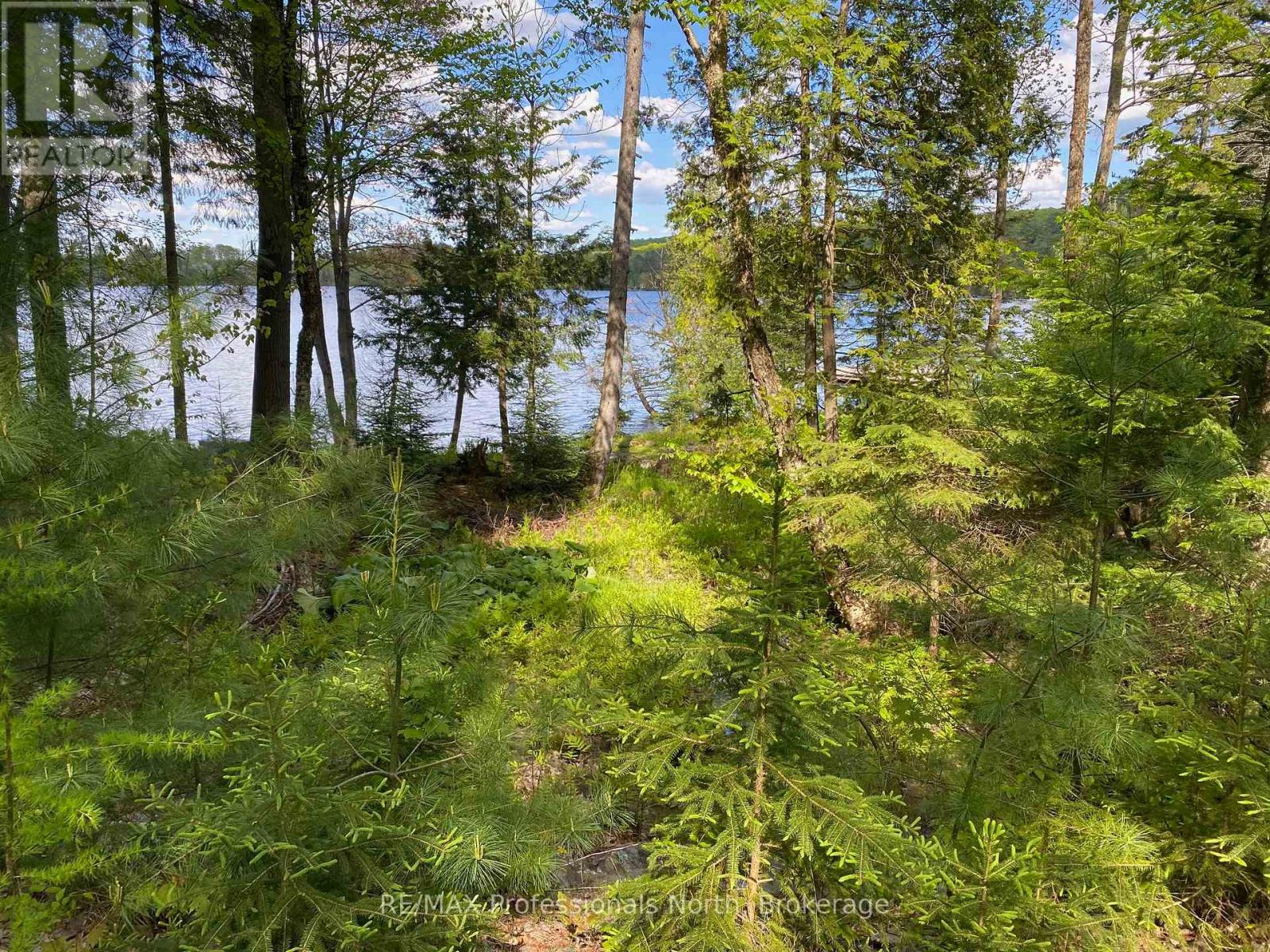 416 Swallowdale Road, Huntsville, Ontario  P1H 0A5 - Photo 7 - X12399919