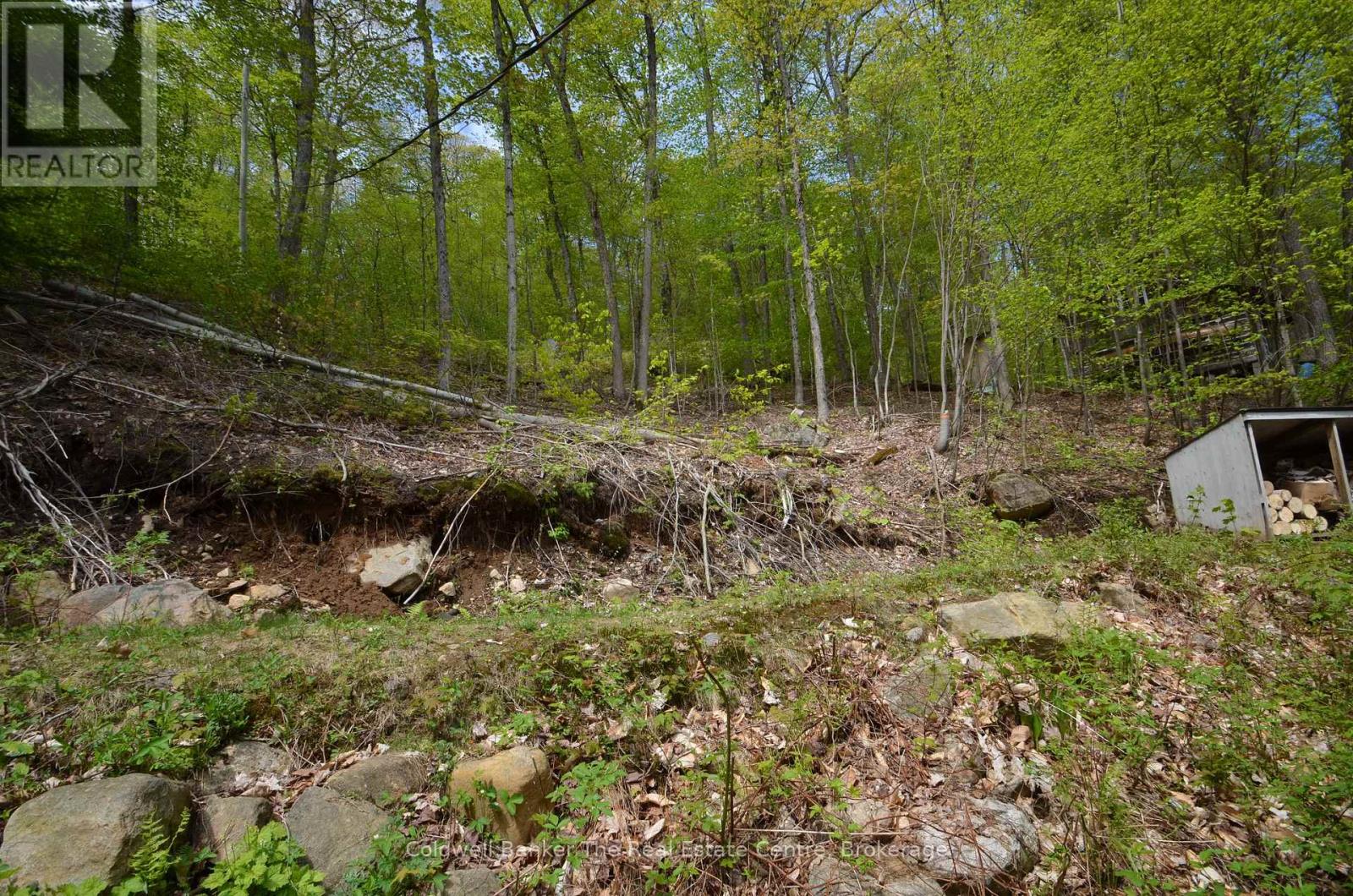 10835 Raven - West Shore Way, Algonquin Highlands, Ontario  P0A 1E0 - Photo 25 - X12399994