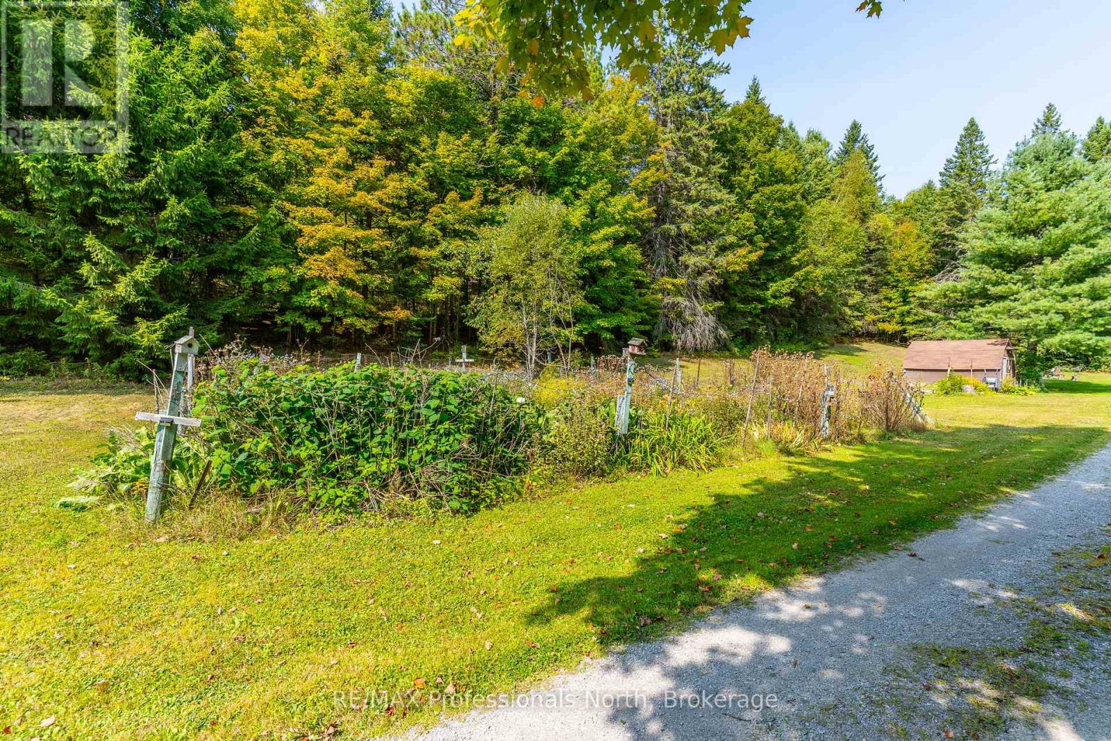 9357 Highway 118 Highway, Minden Hills, Ontario  K0M 2K0 - Photo 29 - X12400827