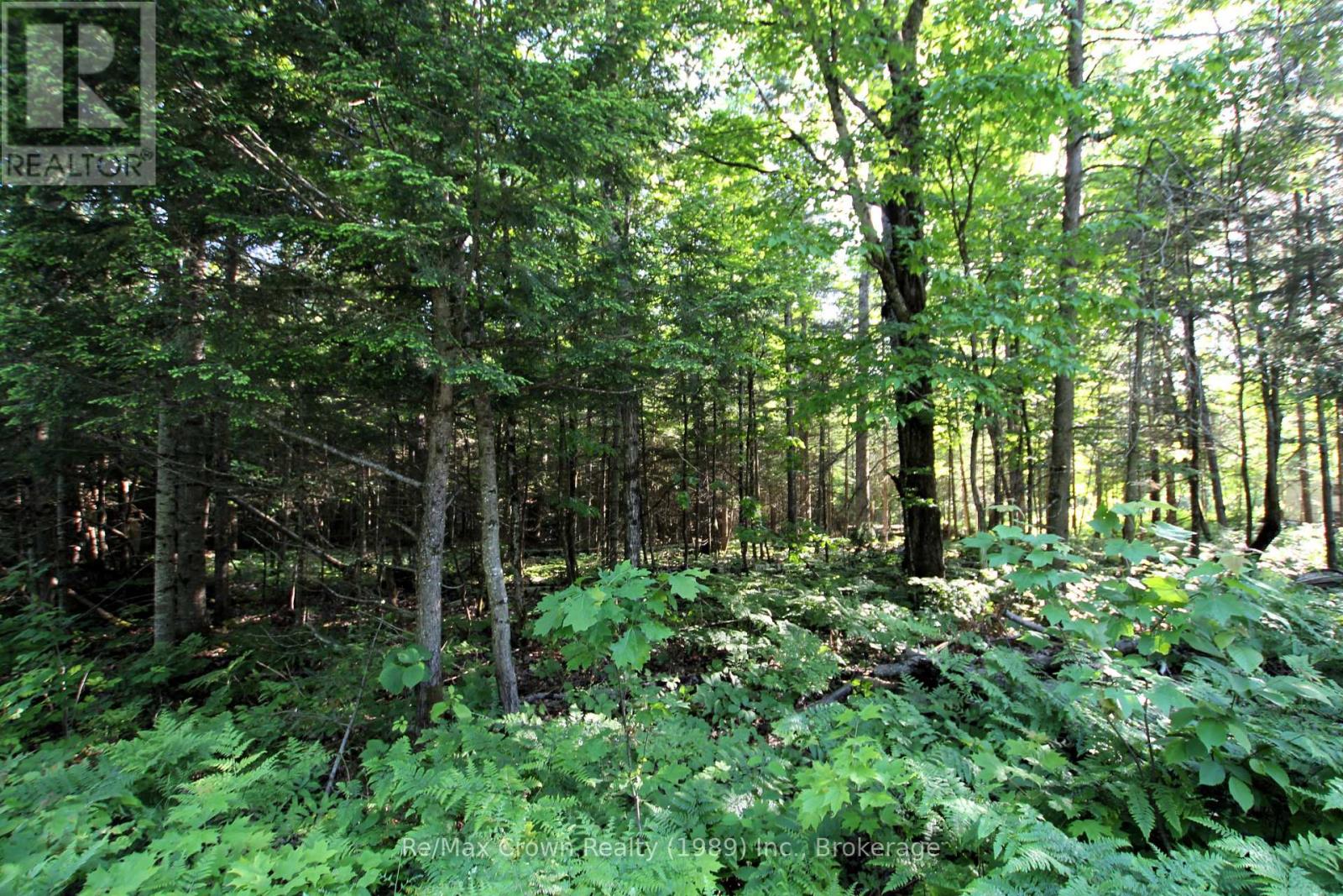 453 Pilgers Road, Nipissing, Ontario  P0H 1J0 - Photo 12 - X12403051