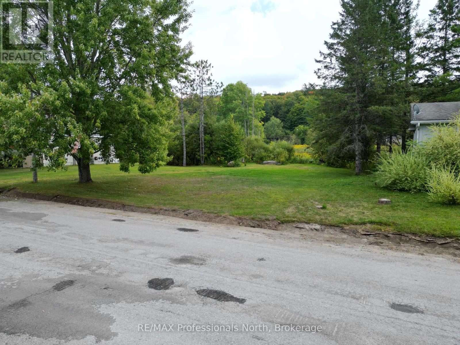 0 Parts Lot 12, Plan 1, Anson Street, Minden Hills, Ontario  K0M 2K0 - Photo 11 - X12403324