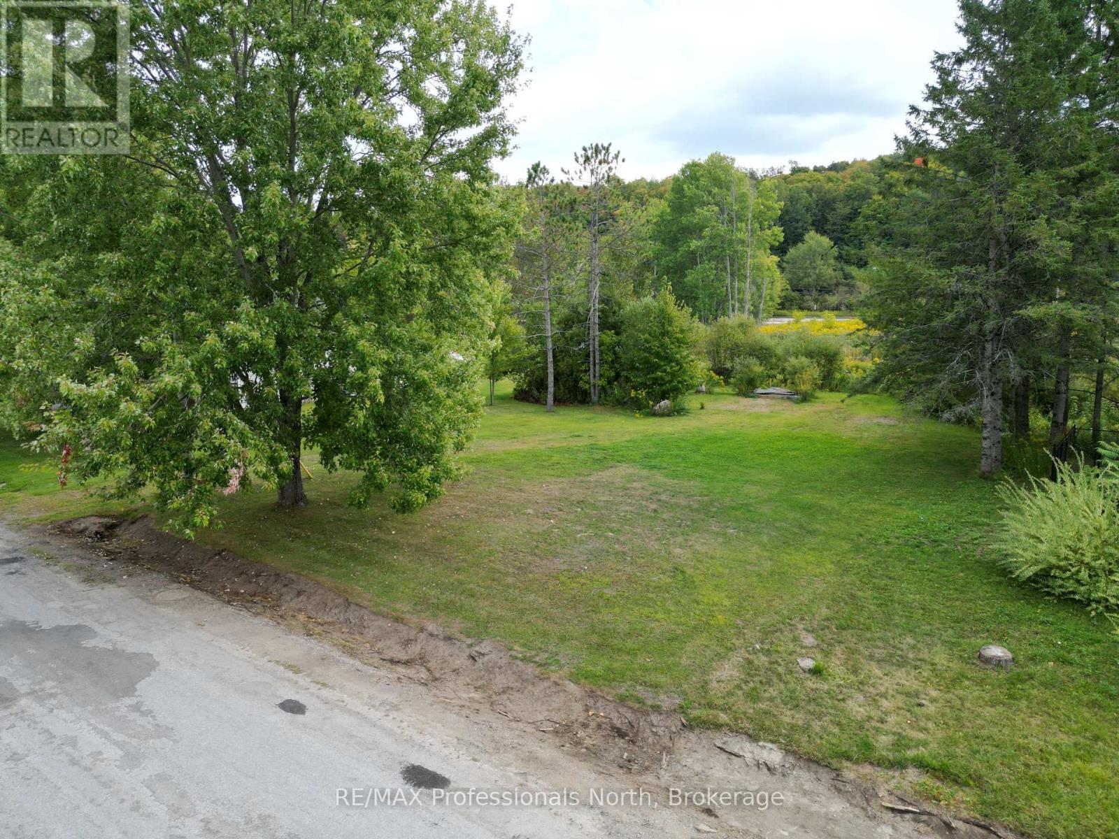 0 Parts Lot 12, Plan 1, Anson Street, Minden Hills, Ontario  K0M 2K0 - Photo 2 - X12403324