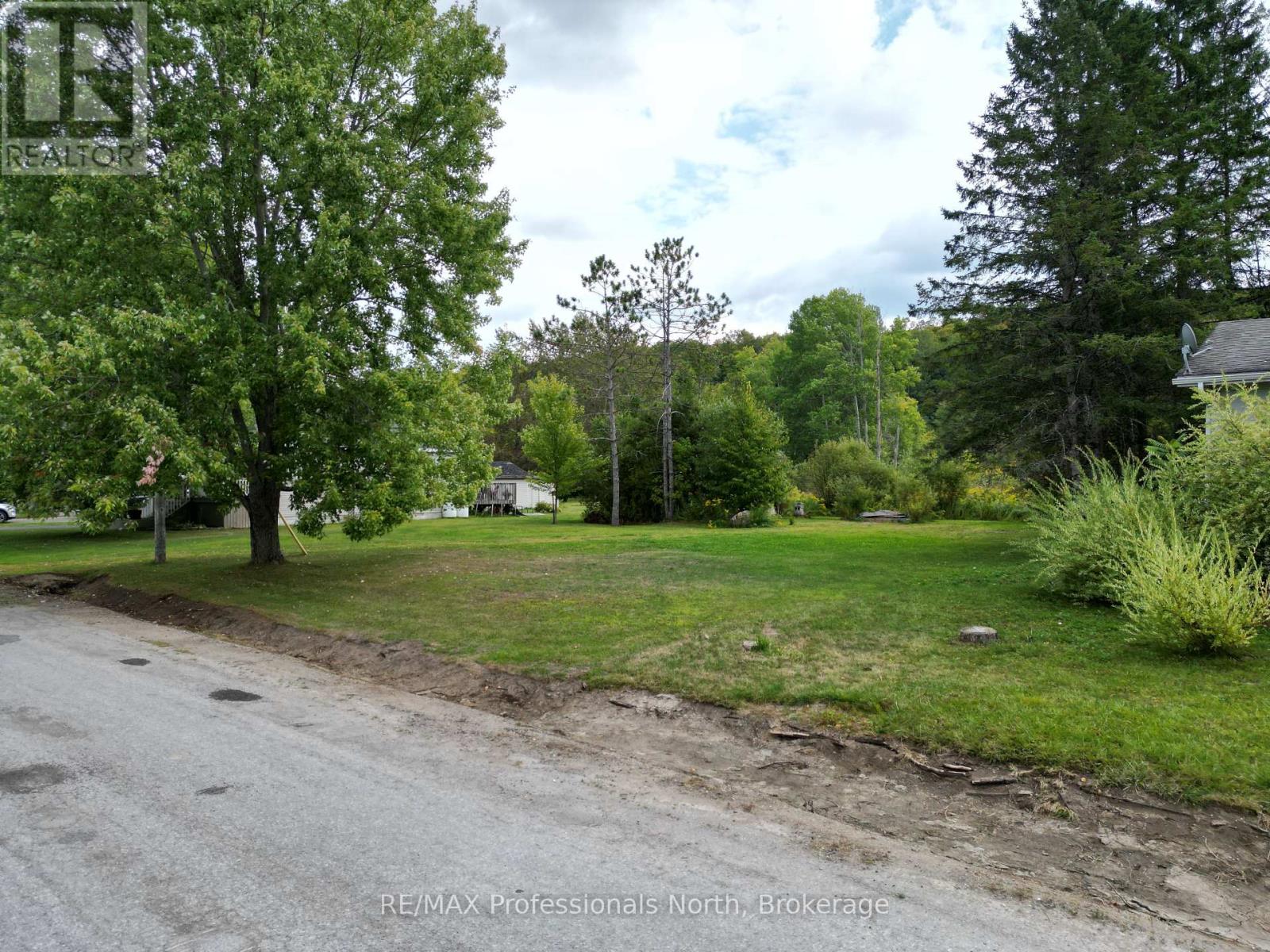 0 Parts Lot 12, Plan 1, Anson Street, Minden Hills, Ontario  K0M 2K0 - Photo 3 - X12403324