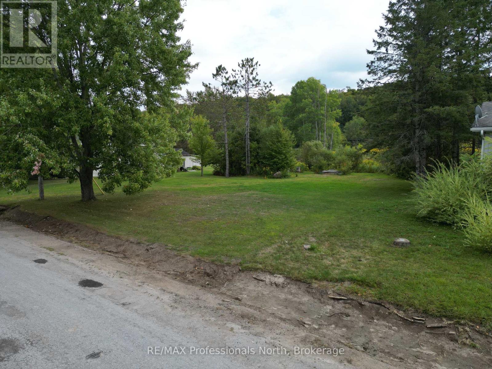 0 Parts Lot 12, Plan 1, Anson Street, Minden Hills, Ontario  K0M 2K0 - Photo 4 - X12403324