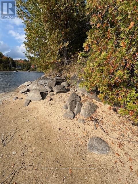 25 Fire Route 330 Drive, Trent Lakes, Ontario  K0M 1R0 - Photo 3 - X12404026