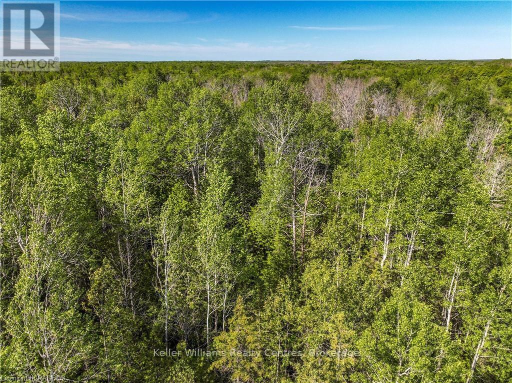 Lot 39 Bartley Drive, Northern Bruce Peninsula, Ontario  N0H 1Z0 - Photo 15 - X12404669