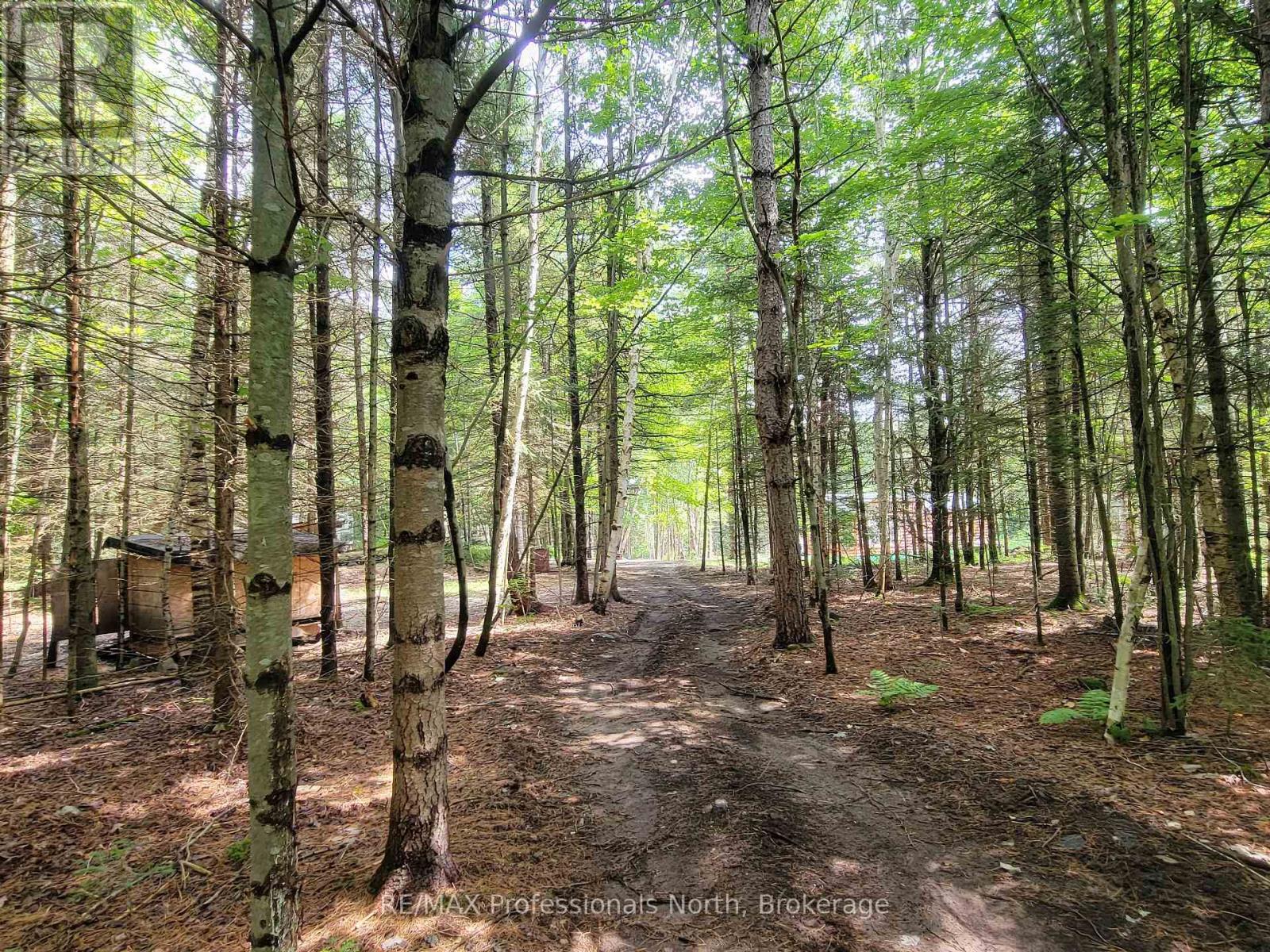 88 Rye Road, Parry Sound Remote Area, Ontario  P0A 1X0 - Photo 24 - X12410416