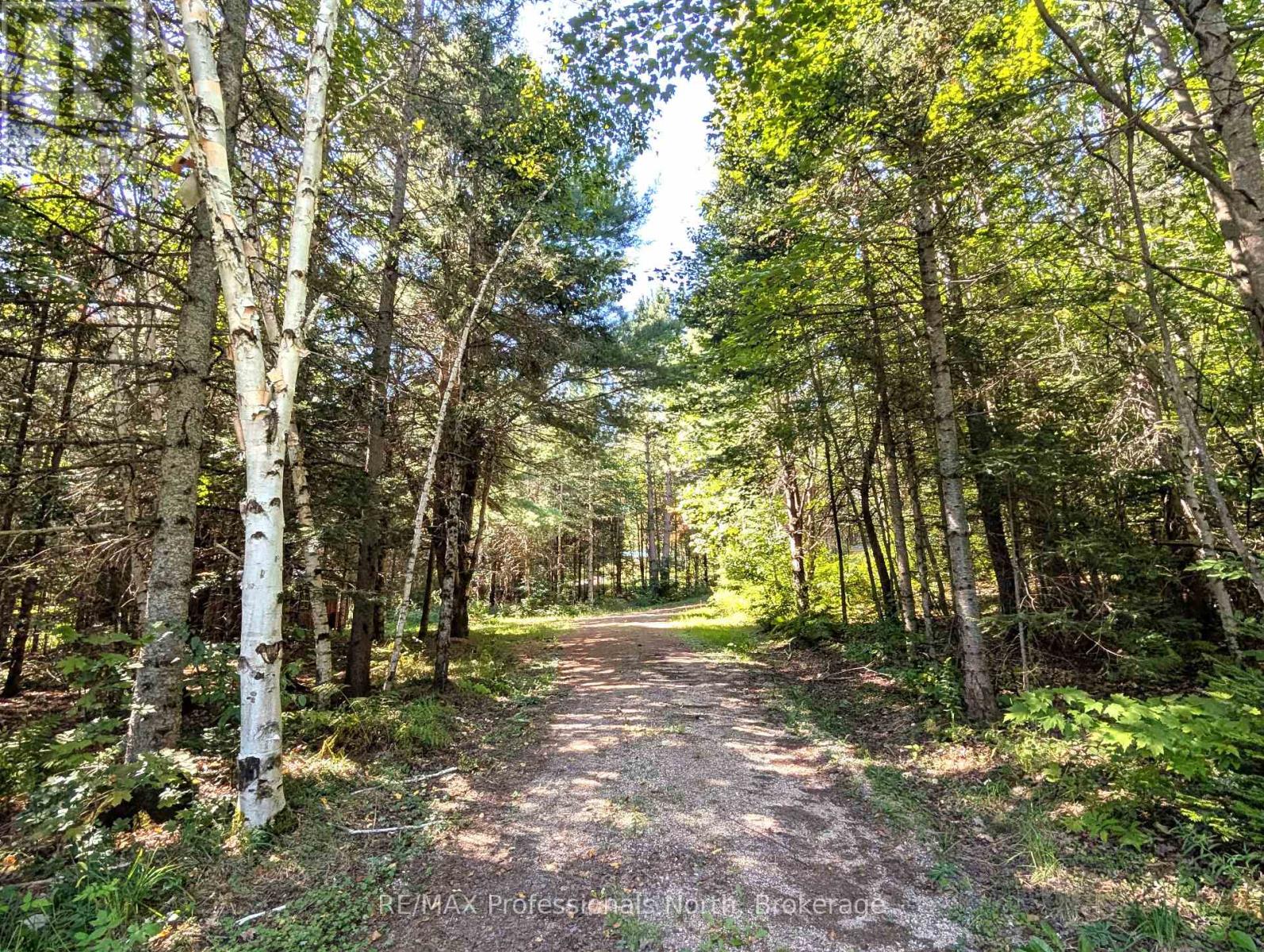 88 Rye Road, Parry Sound Remote Area, Ontario  P0A 1X0 - Photo 4 - X12410416