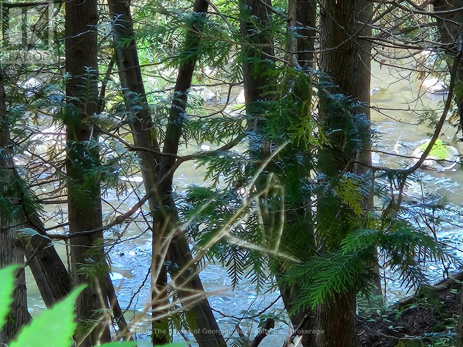 399 Dawson's Side Road, Tiny, Ontario  L0K 2T0 - Photo 40 - S12412400