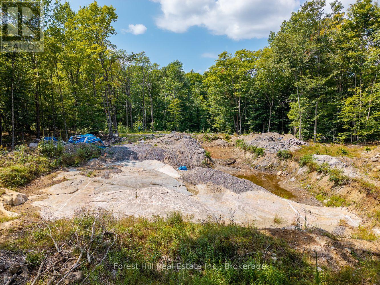 1028 Bruce Lake Drive, Muskoka Lakes, Ontario  P0B 1J0 - Photo 11 - X12418753