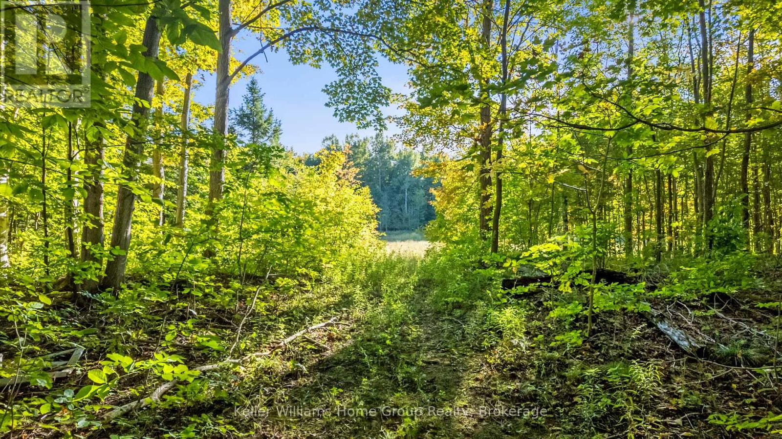 125 North Diagonal Road, South Bruce Peninsula, Ontario  N0H 2T0 - Photo 26 - X12419545