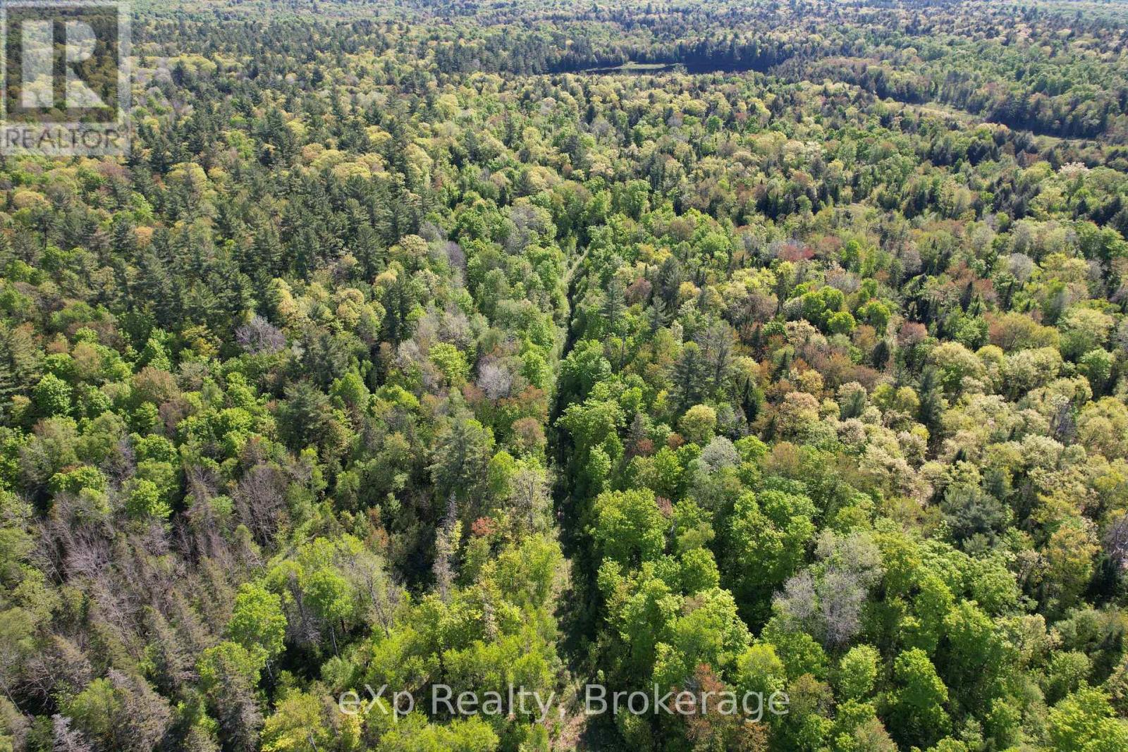 Lot 20 Centre Road, Mckellar, Ontario  P0G 1C0 - Photo 2 - X12424282