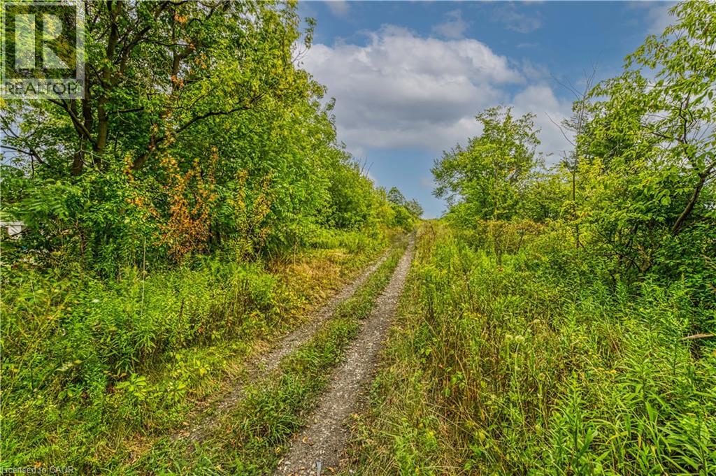 60b Talbot Road, Canfield, Ontario  N0A 1C0 - Photo 10 - 40762027