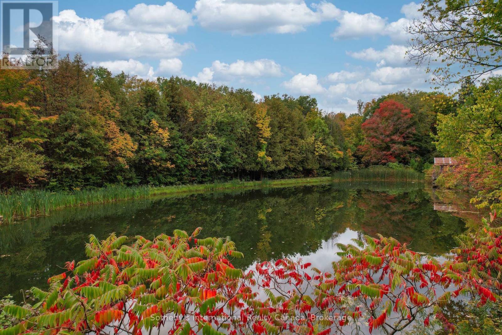 589903 Grey Road 19, Blue Mountains, Ontario  L9Y 2L8 - Photo 46 - X12440935