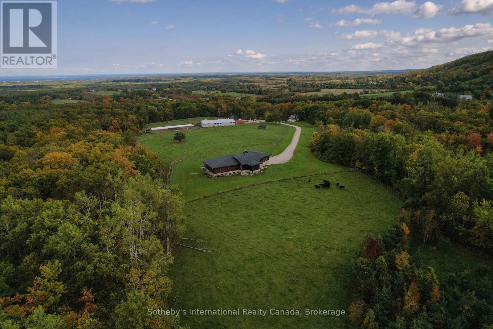 589903 Grey Road 19, Blue Mountains, Ontario  L9Y 2L8 - Photo 48 - X12440935