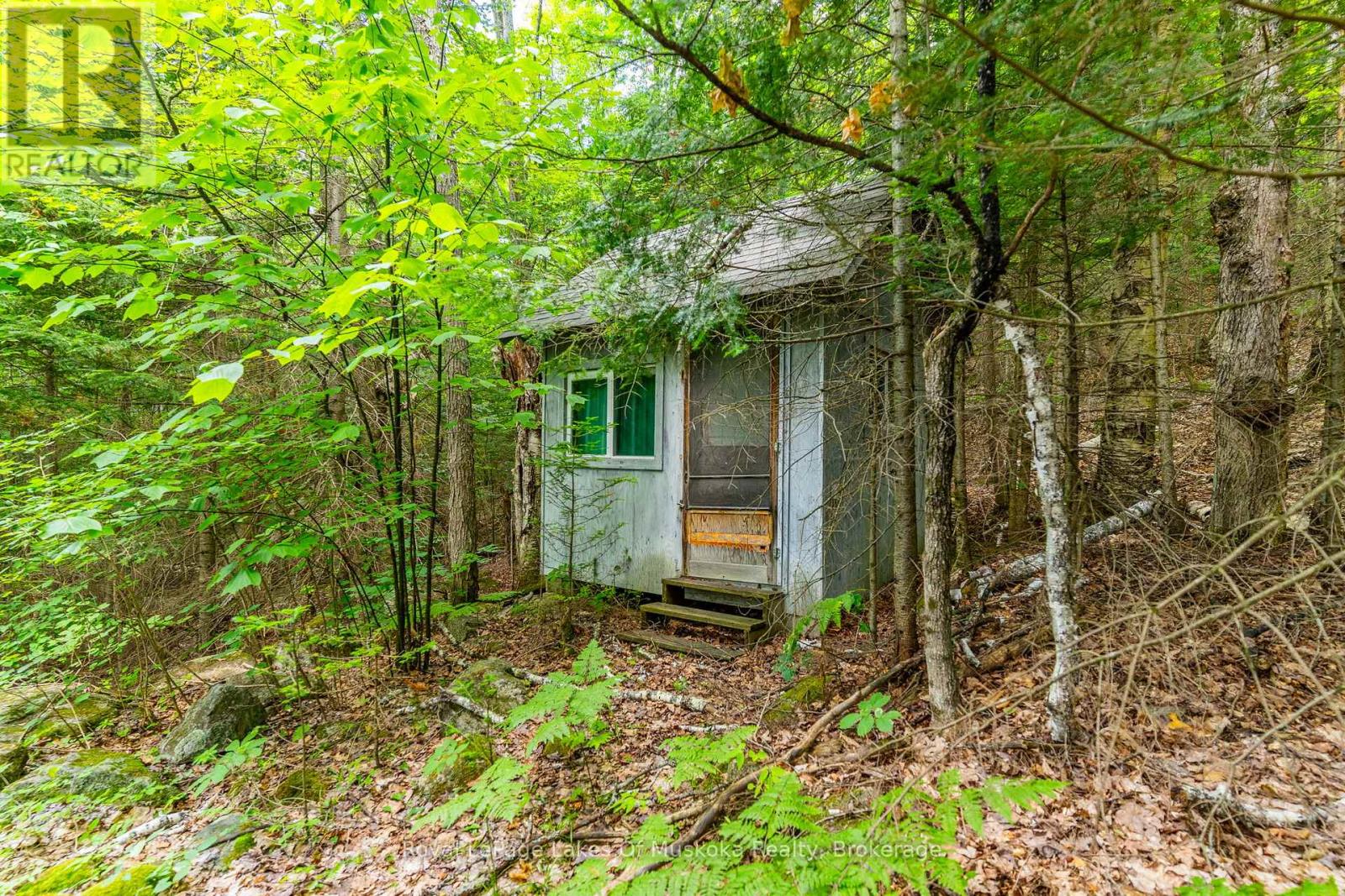 1236 Grace Road, Minden Hills, Ontario  K0M 2K0 - Photo 28 - X12444636