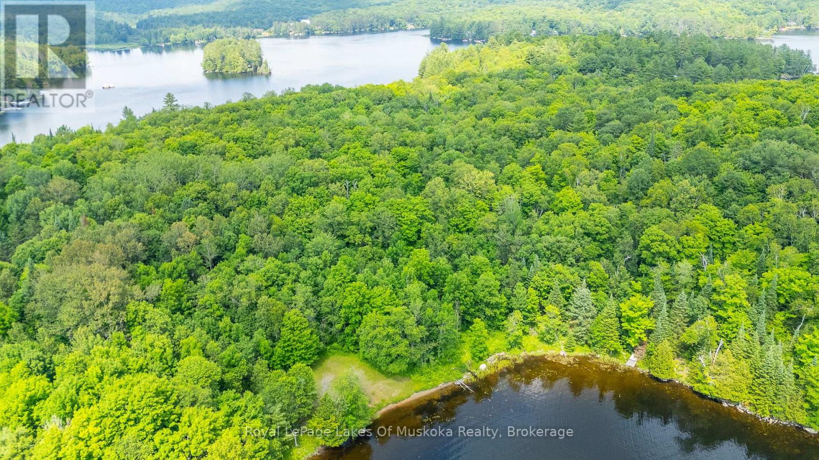 1236 Grace Road, Minden Hills, Ontario  K0M 2K0 - Photo 42 - X12444636