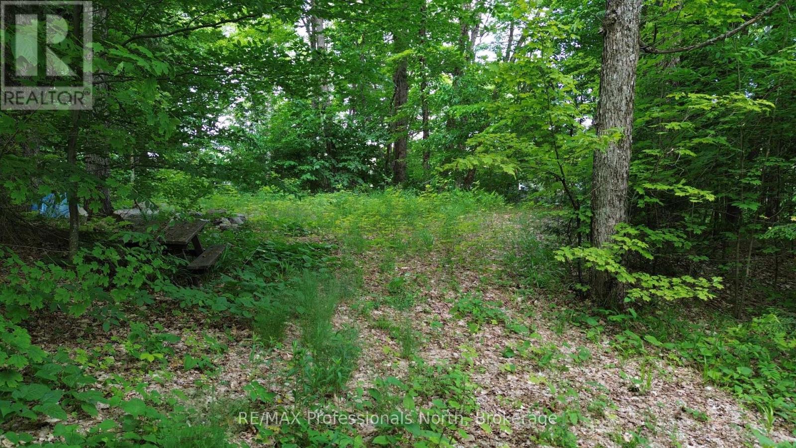 1012 Betula Crescent, Dysart Et Al, Ontario  K0L 1M1 - Photo 13 - X12448928