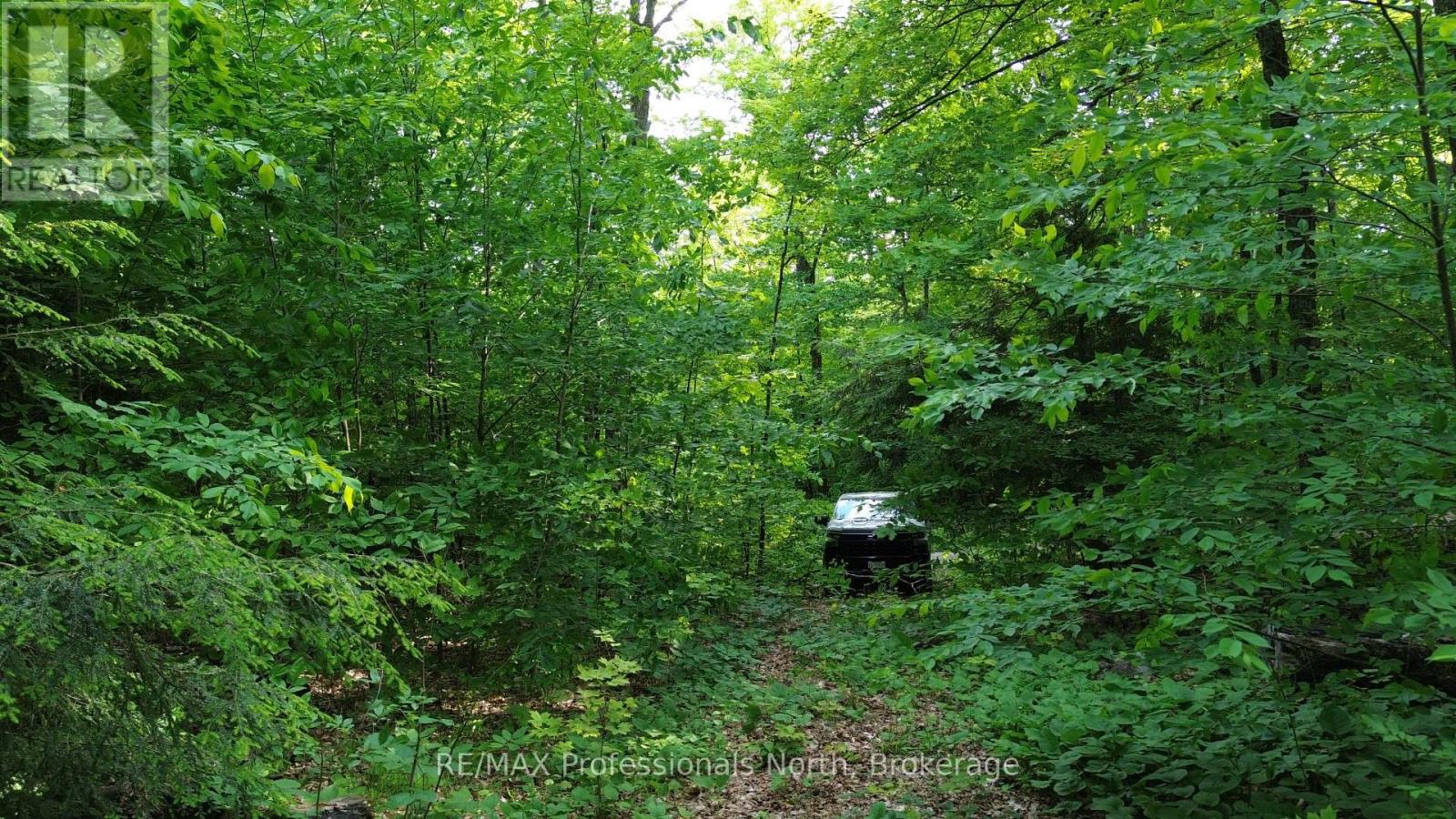 1012 Betula Crescent, Dysart Et Al, Ontario  K0L 1M1 - Photo 14 - X12448928