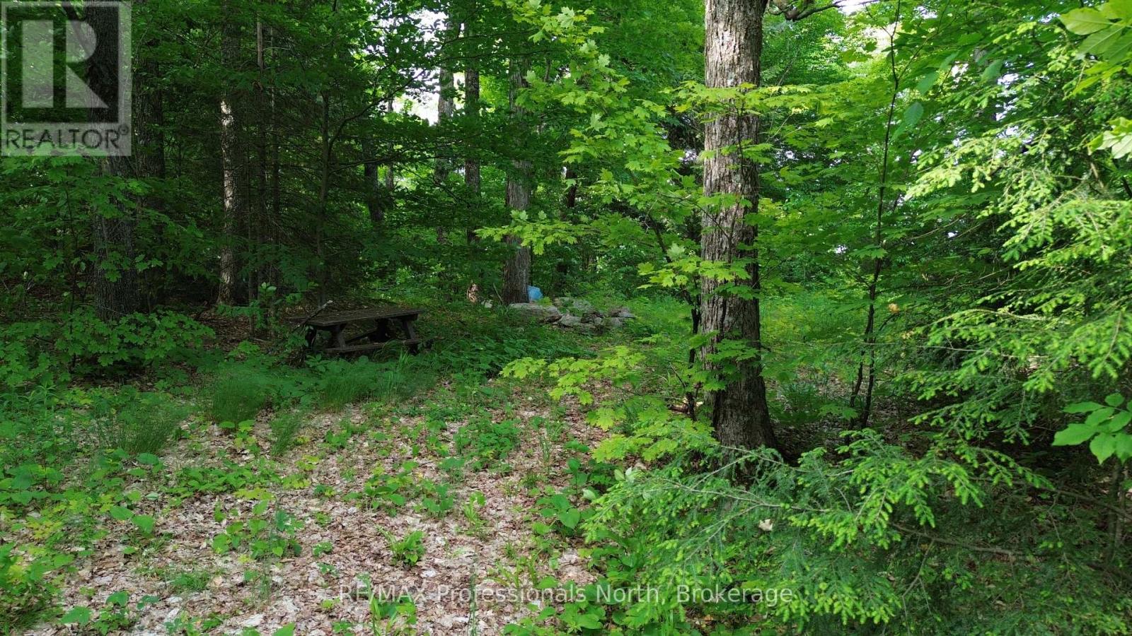 1012 Betula Crescent, Dysart Et Al, Ontario  K0L 1M1 - Photo 2 - X12448928