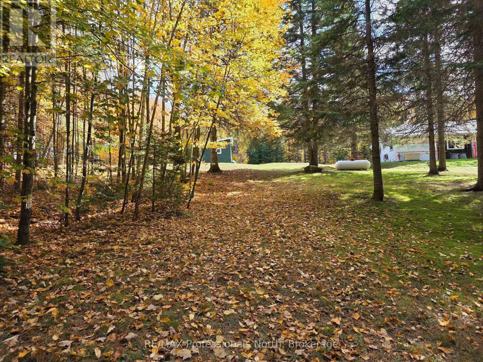 1788 Fern Glen Road Emsdale, Mcmurrich/monteith, Ontario  P0A 1J0 - Photo 16 - X12449418