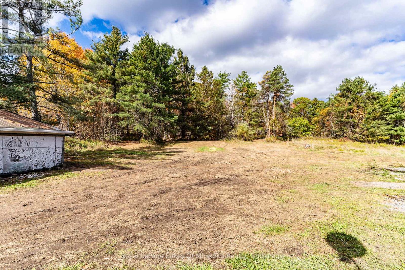 1015 Hewlitt Road, Muskoka Lakes, Ontario  P1L 0J4 - Photo 4 - X12453677