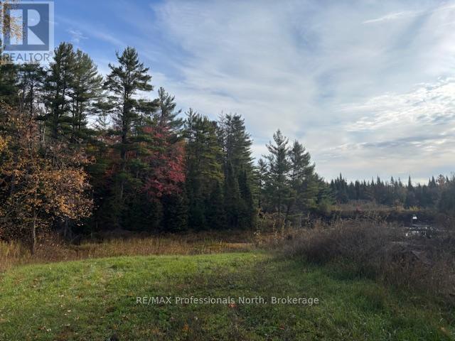 4326 County Road 121 Road, Minden Hills, Ontario  K0M 2A0 - Photo 2 - X12470613